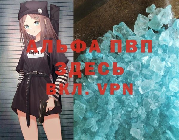спиды Пересвет