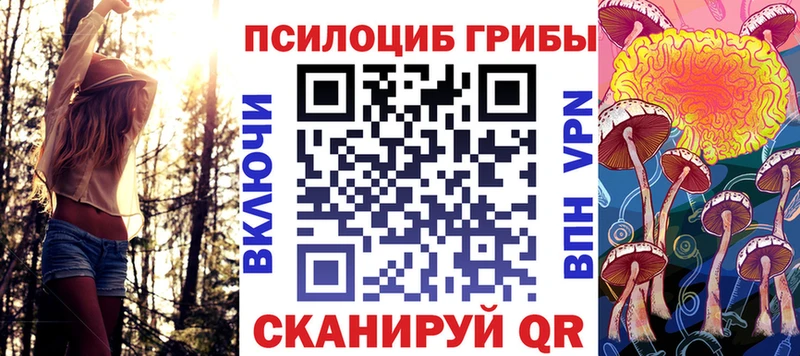 Галлюциногенные грибы Magic Shrooms  OMG сайт  Нюрба 